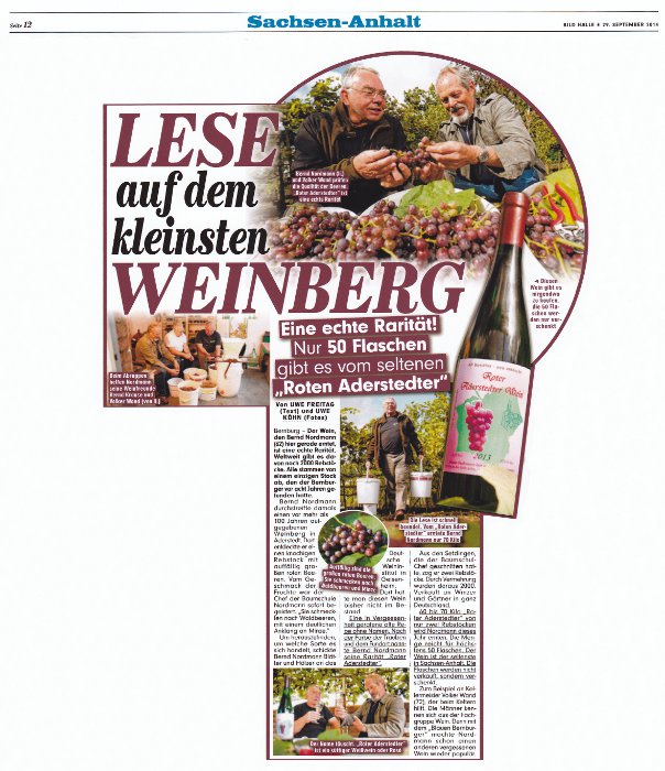 Pressebeitrag 'LESE auf dem kleinsten WEINBERG' Bild Halle 29.09.2014